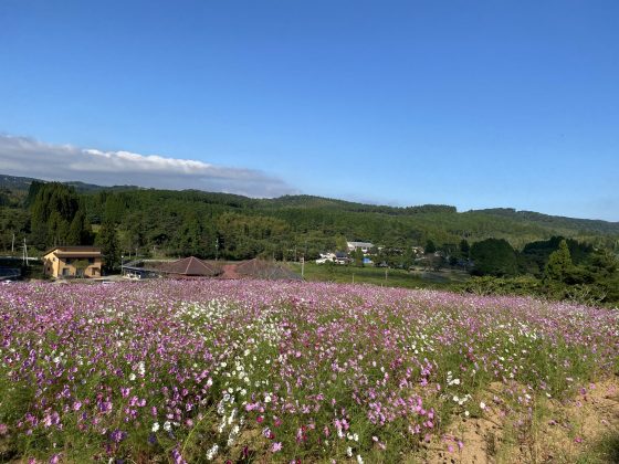 上場高原