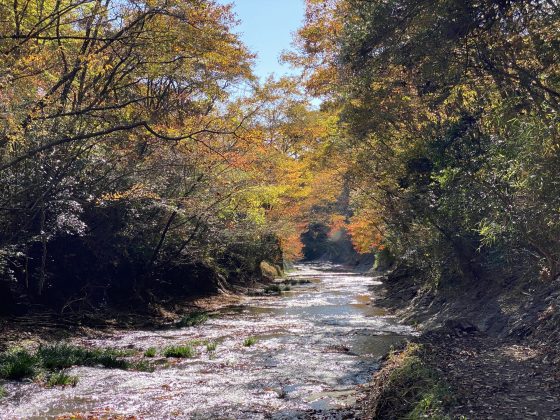 遊水峡