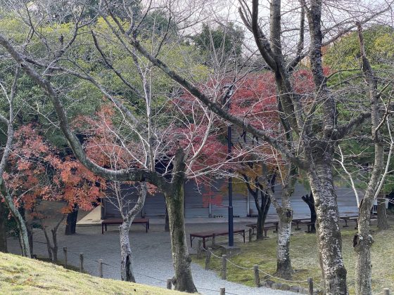 水前寺公園