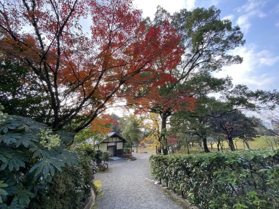 水前寺公園