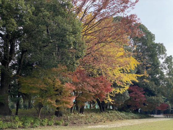 水前寺公園