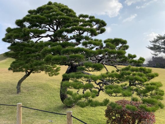 水前寺公園