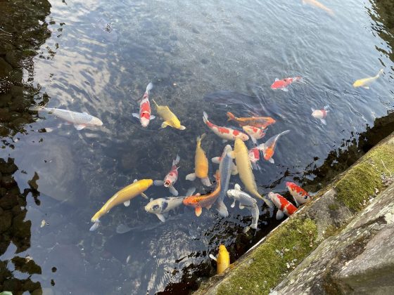 水前寺公園