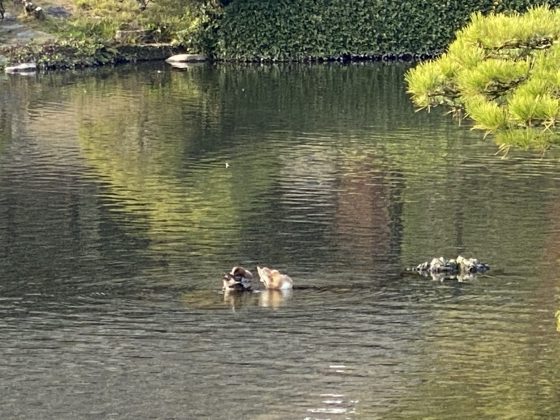 水前寺公園