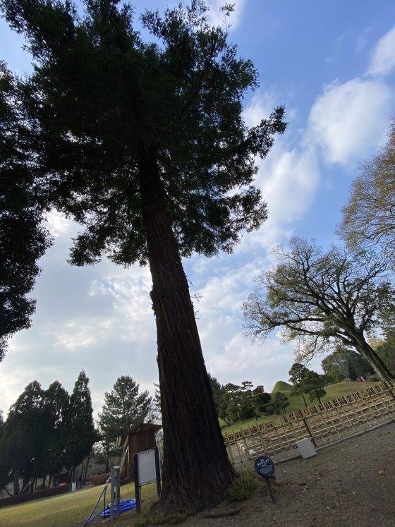 水前寺公園