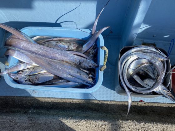 太刀魚釣り