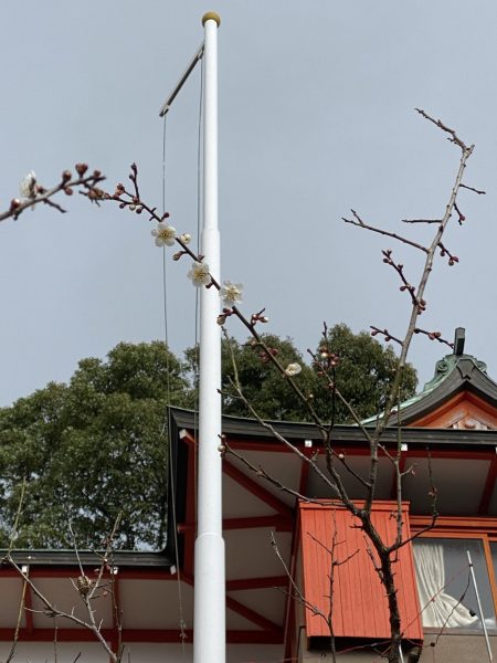 高橋稲荷神社