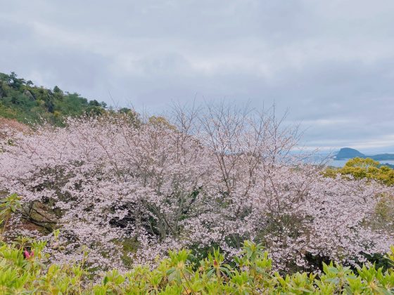 千厳山展望所