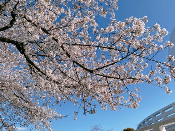 花岡山公園