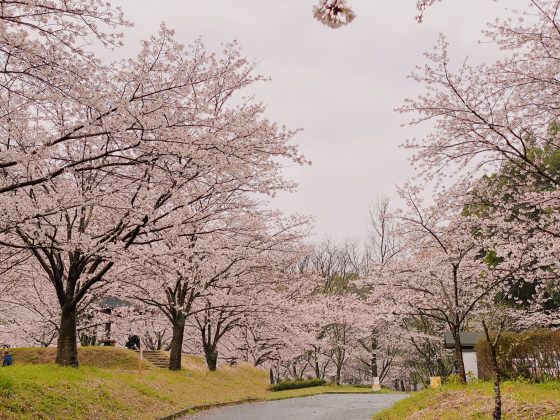 立岡自然公園