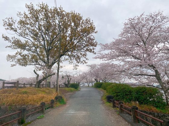 立岡自然公園