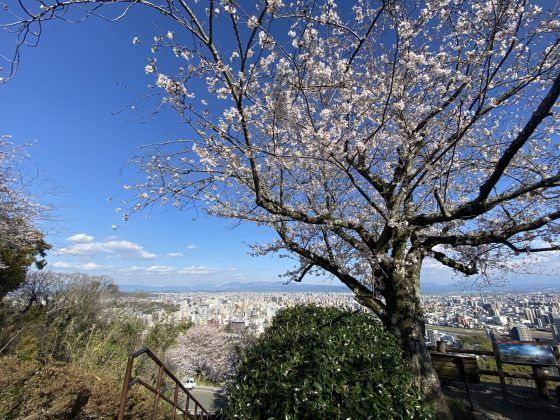 花岡山公園