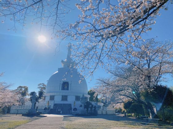 花岡山