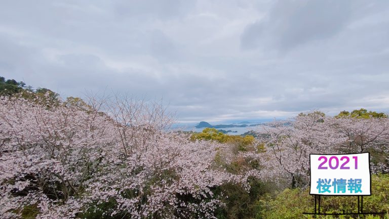 千厳山展望所