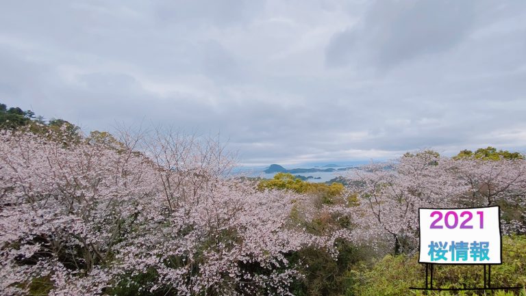 千厳山展望所