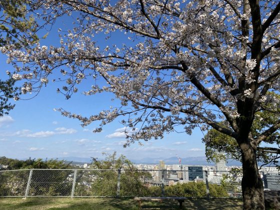 万日山緑地公園