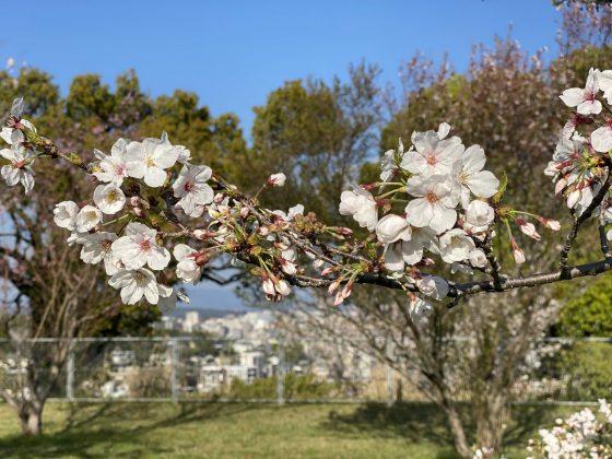 万日山緑地公園