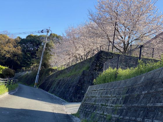 万日山緑地公園