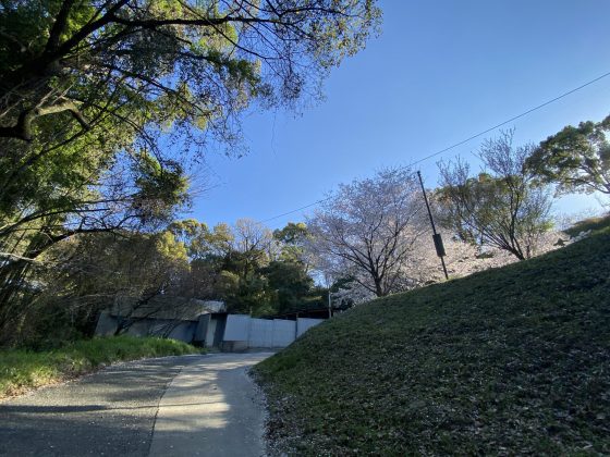 万日山緑地公園