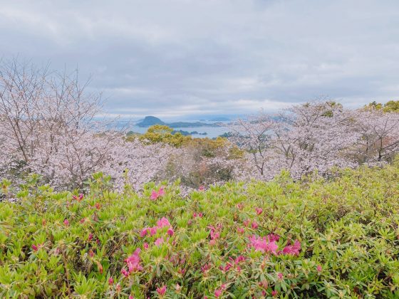 千厳山展望所