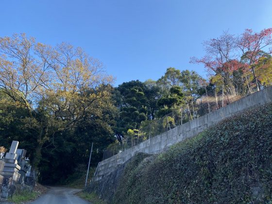 万日山緑地公園