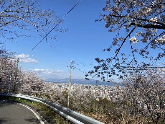 花岡山公園