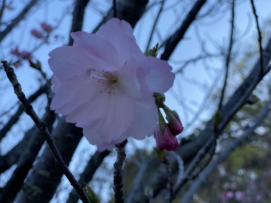 万日山緑地公園