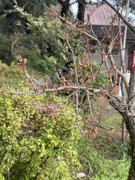 高橋稲荷神社