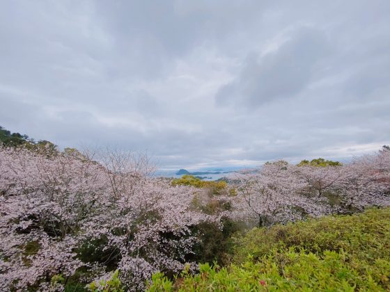 千厳山展望所