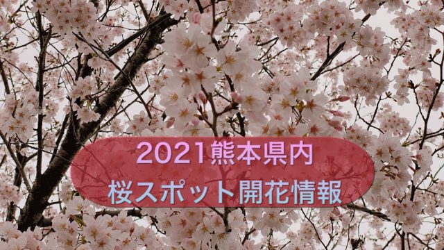 桜情報2021