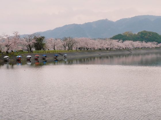 立岡自然公園