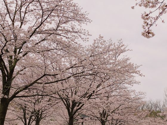 立岡自然公園