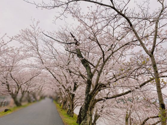 立岡自然公園