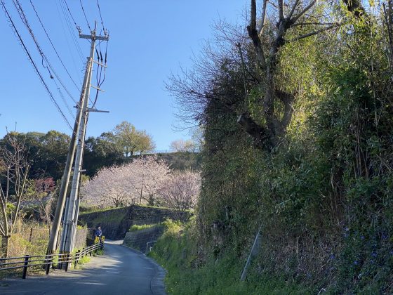 万日山緑地公園