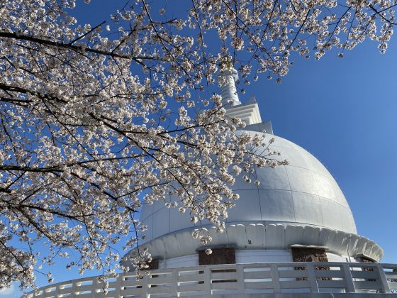 花岡山