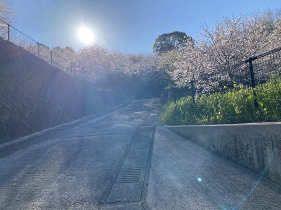 万日山緑地公園