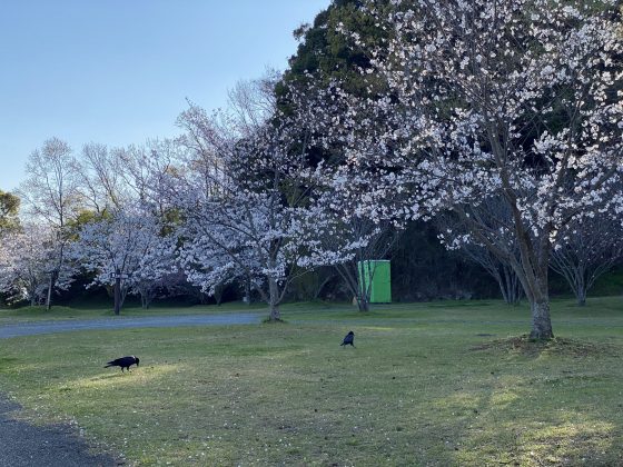 万日山緑地公園