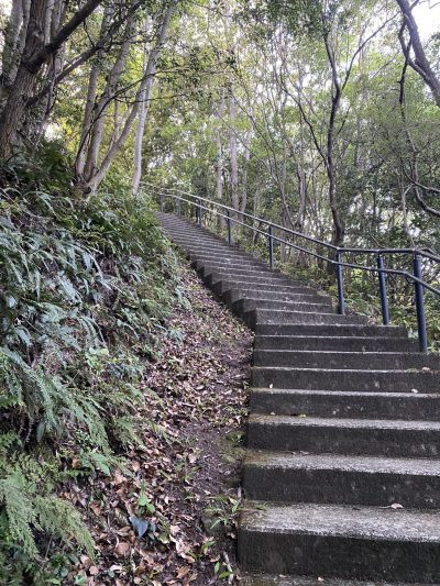 高舞登山