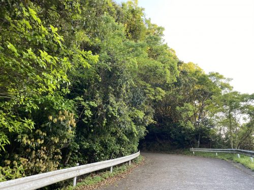 高舞登山