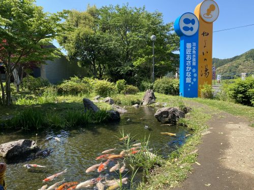 道の駅やよい