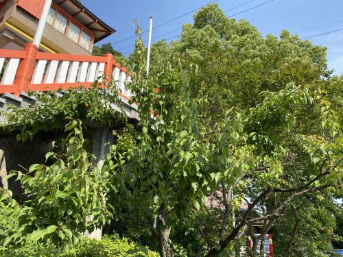 高橋稲荷神社