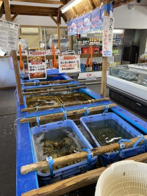 道の駅北浦