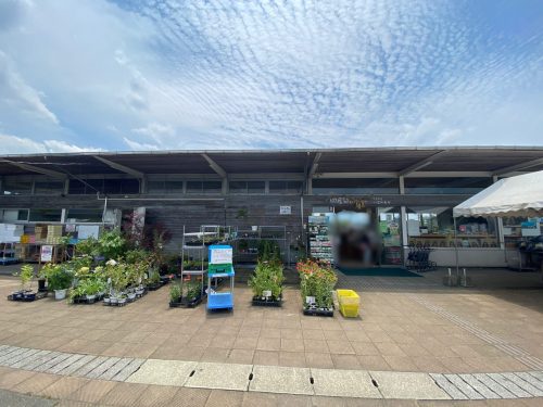 四季彩いちのみや阿蘇青空食堂