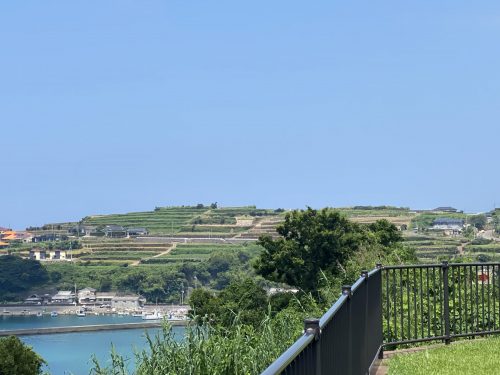 長島八景