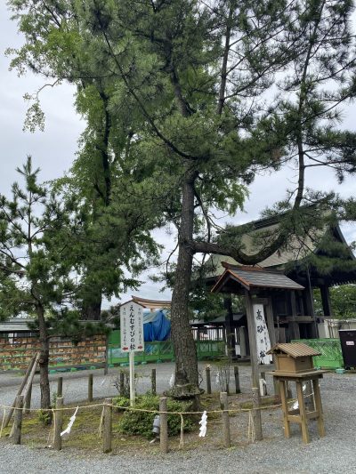 阿蘇神社