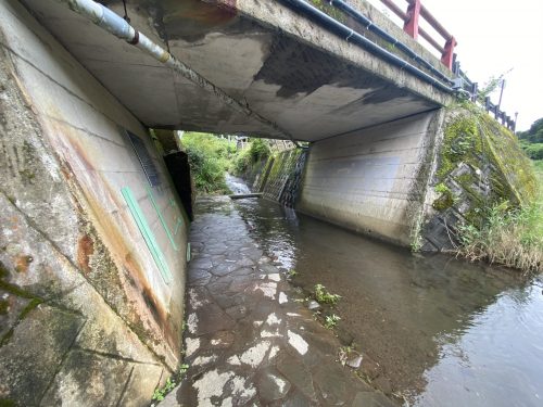 ガニ湯