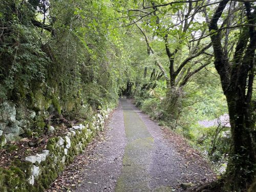 龍門の滝