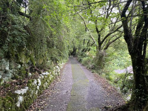 龍門の滝