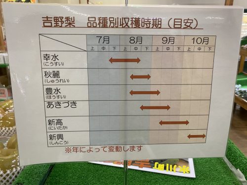 道の駅竜北