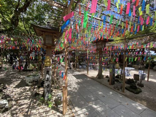 かえる寺